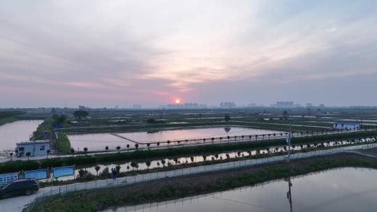 航拍武汉荆州小龙虾养殖基地