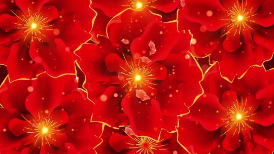 鲜艳红金牡丹花背景视频视频素材模板下载