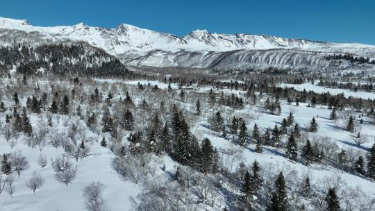 航拍吉林长白山雪原森林自然风光