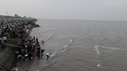 天津东疆港亲海公园节假日旅游海边人山人海