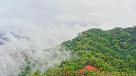 雨后山区森林云雾