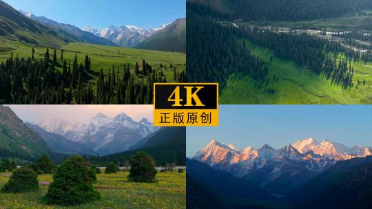 【4K】新疆夏塔景区自然风景航拍合集