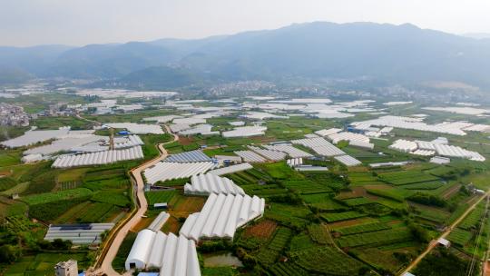 富民县农业示范基地大棚种植农田航拍
