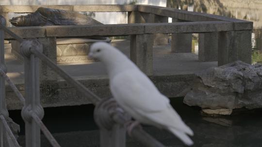 西园戒幢律寺