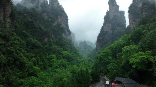 航拍张家界峰林地貌-山川云雾云海-大好河山