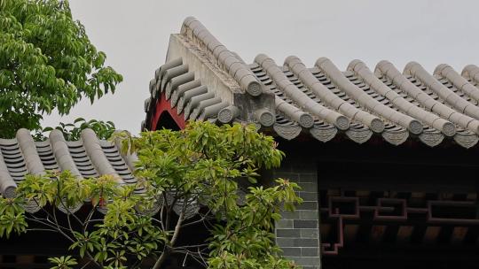 中式建筑屋檐绿植园林古风意境
