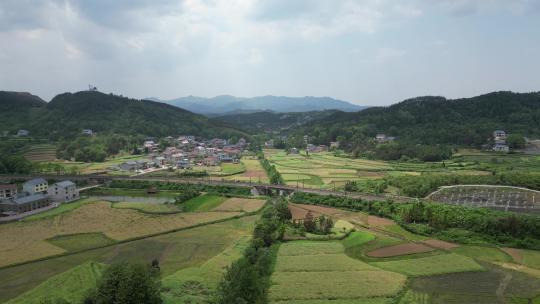 美丽乡村农田农业种植山川丘陵航拍