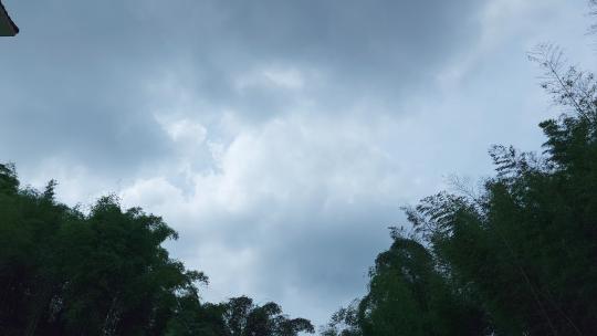 微风竹林摆动 天空流云 延时摄影
