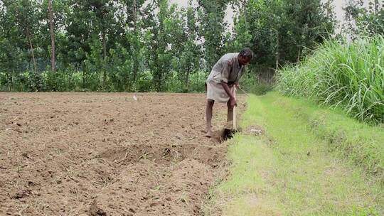人类在耕种农田的土壤