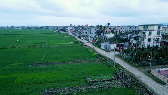 海南省万宁市海边万亩稻田与村镇航拍风景
