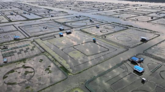 苏州阳澄湖大闸蟹基地超清航拍