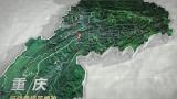 重庆地图三维3d高清AE视频素材下载