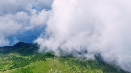 陕西汉中秦岭紫柏山高山草甸