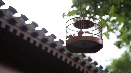 四合院园林建筑历史文化北京鸟笼