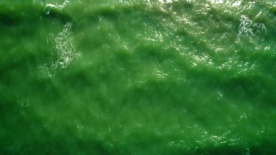 1321_绿色的海浪到达海滩
