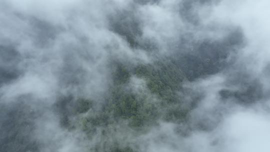 烟雨云雾缥缈的大山