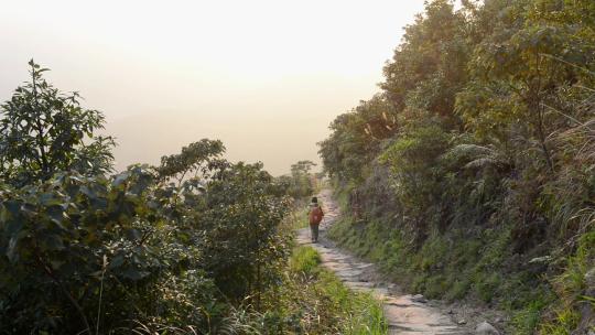 香港麦理浩径的徒步旅行者行走在山林间