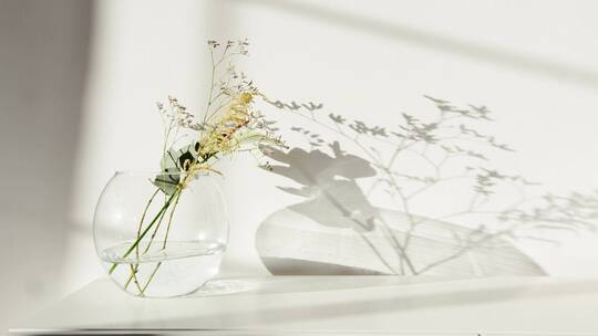 在玻璃花瓶里的装饰花在白背景的光影