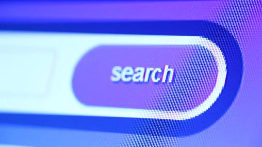 网页搜索  搜索框 点击搜索 谷歌搜索视频素材模板下载