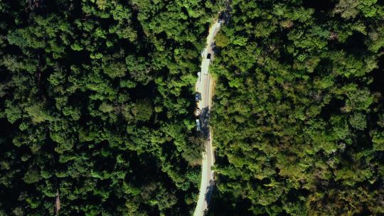 航拍西双版纳野象谷曼掌村原始森林景色