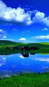 竖版-草原上水边吃草的牛群羊群