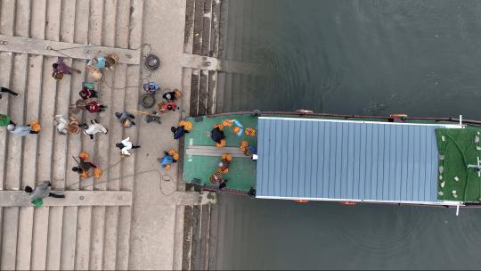 歙县三潭枇杷交易市场轮渡码头航拍
