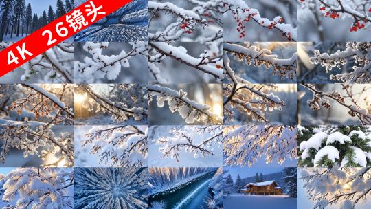 【26个雪景雾凇森林】冬季寒冷冬天雪花高清在线视频素材下载