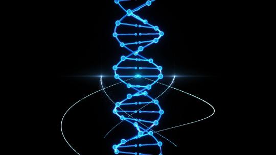 【全息】dna基因序列旋转