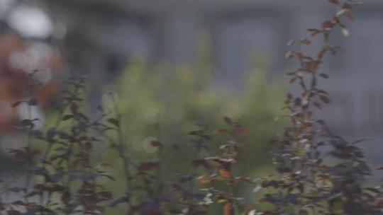 医院空镜 意象化镜头