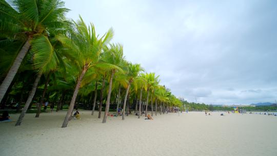 海南三亚 椰树沙滩 海边椰子树 海滩度假视频素材模板下载