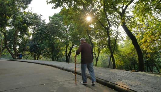 公园里走路的老人父亲背影夕阳黄昏老爷爷