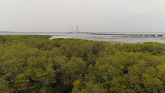泗水悬索桥