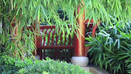 意境竹林竹影，中式古典园林