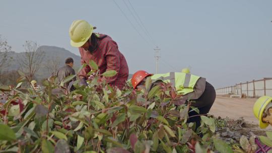 城市建设工地现场