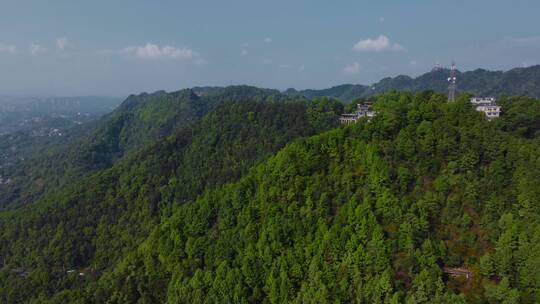 航怕重庆南山森林绿化