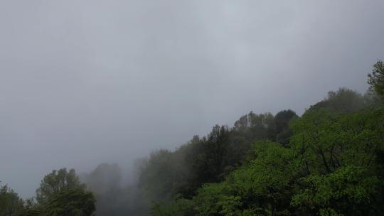 雅安名山区雨中蒙顶山 (1)
