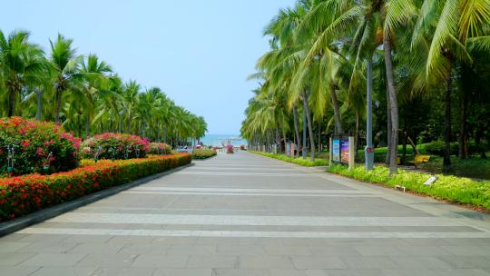 天涯海角椰树林椰子树林荫大道