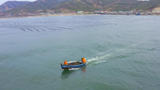 渔船出海打捞海带