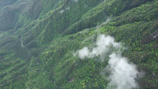 春季雨后高山上的云海