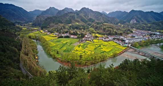 陕西汉中油菜花田