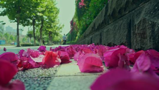 城市步道地面花瓣