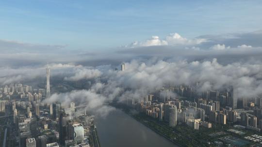 云雾下的广州