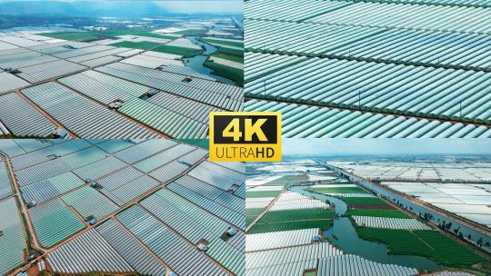 万亩大棚蔬菜水果鲜花种植基地高清在线视频素材下载