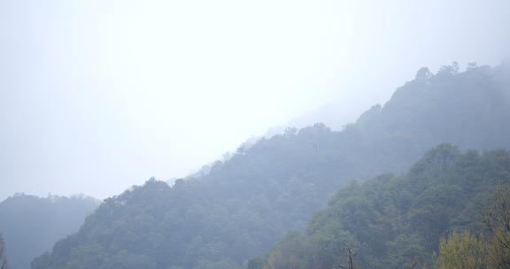 上天竺法喜讲寺实拍素材