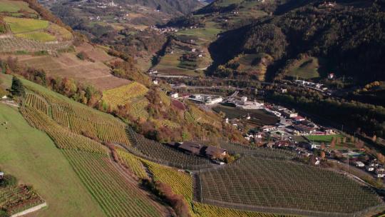 意大利山谷，山坡上有葡萄酒葡萄园，晴天