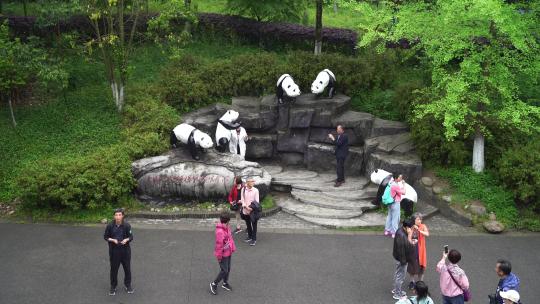 中国大熊猫保护研究中心