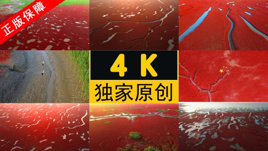 高清红海滩湿地丹顶鹤色彩合集高清在线视频素材下载