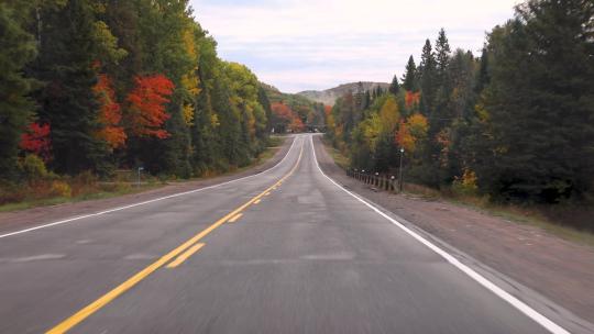 秋天树木环绕的公路视频素材模板下载