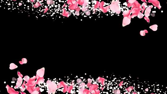 唯美花朵边框【透明背景】