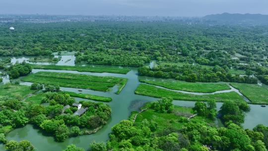 航拍杭州西溪湿地视频素材模板下载